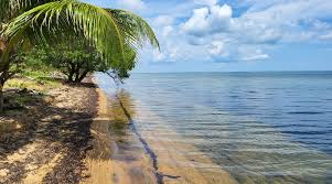 Beach Front Coastal Highway